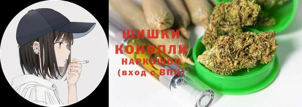 сатива Гусев