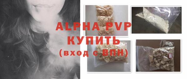 сатива Гусев