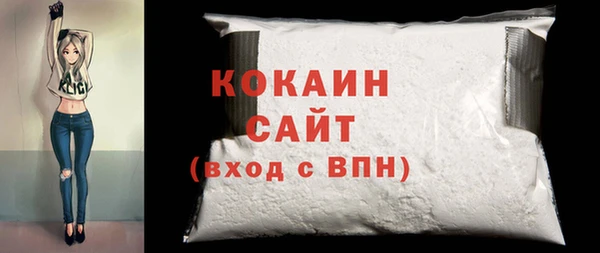 стаф Гусь-Хрустальный