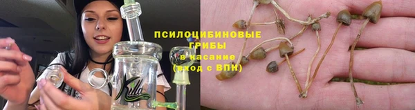 стаф Гусь-Хрустальный