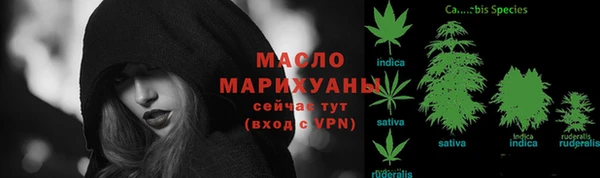 сатива Гусев