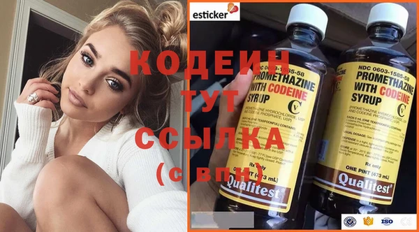 стаф Гусь-Хрустальный