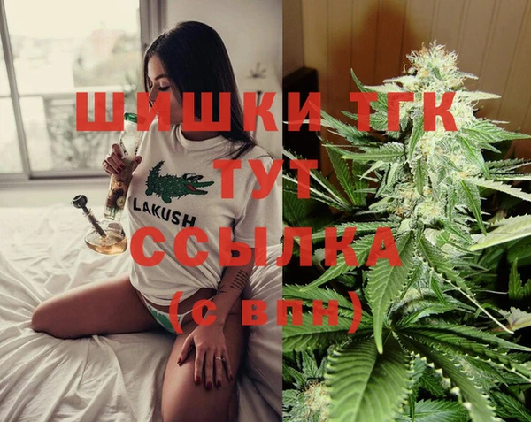 сатива Гусев