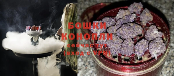 стаф Гусь-Хрустальный