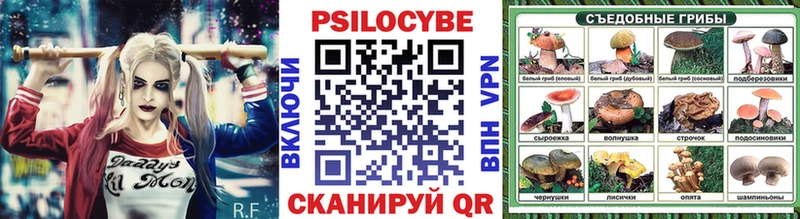 Галлюциногенные грибы Psilocybine cubensis  нарко площадка телеграм  Железногорск-Илимский  где купить наркотик 